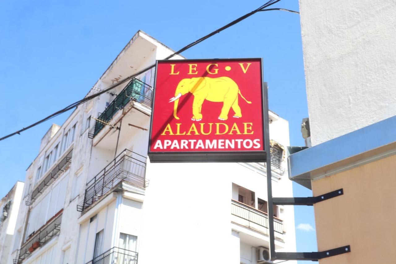Alaudae